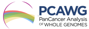 PCAWG Logo